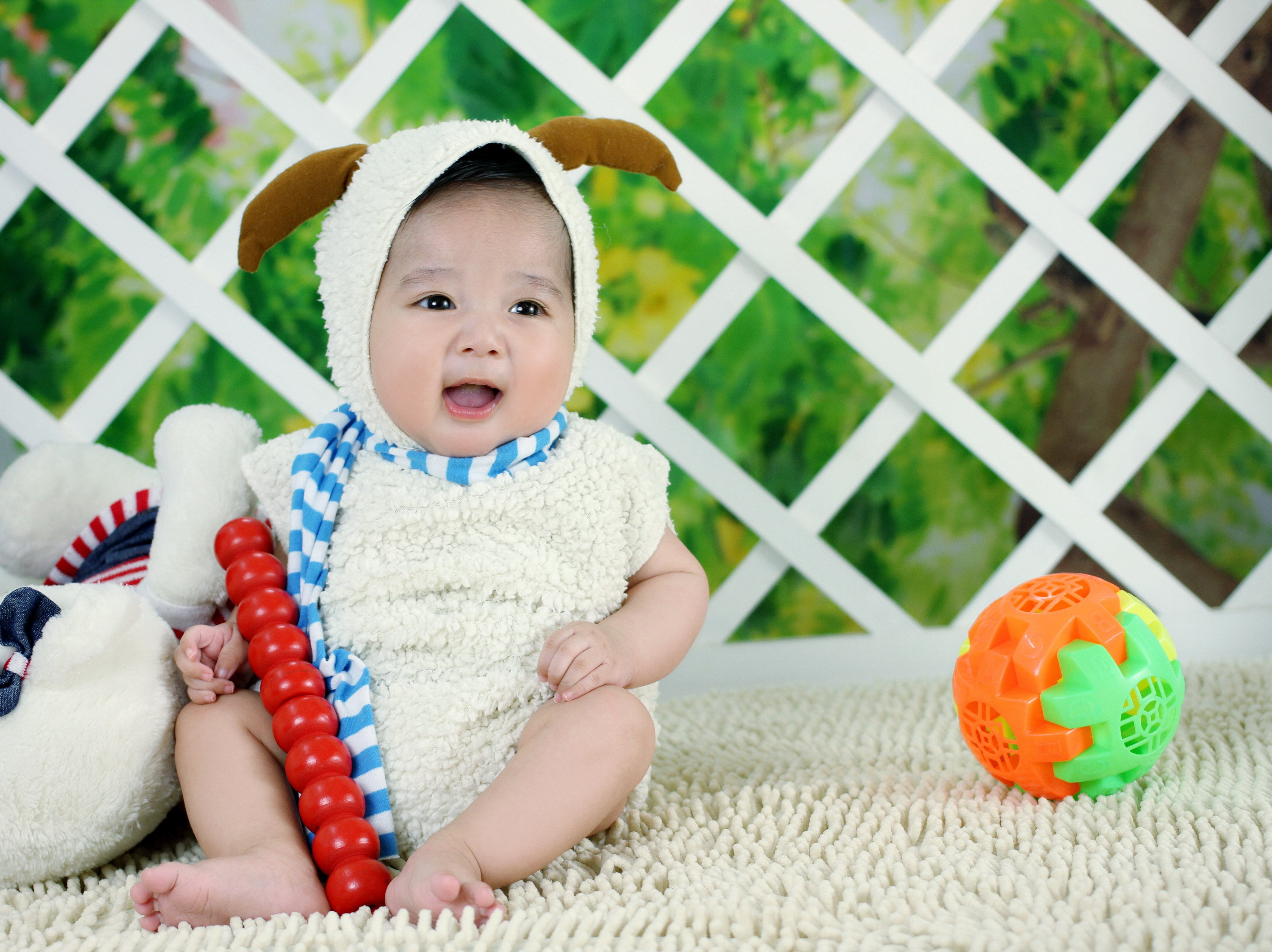 惠州供卵代怀早期胚胎培养成功率